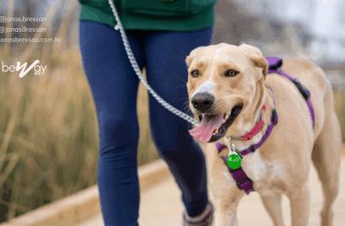 Preposições que transformam o sentido das palavras em inglês