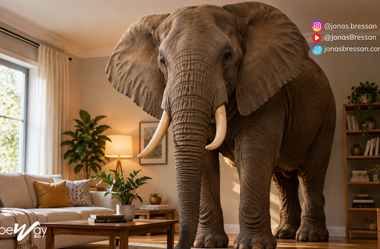 O que significa “the elephant in the room” e por que os americanos falam de um elefante na sala?
